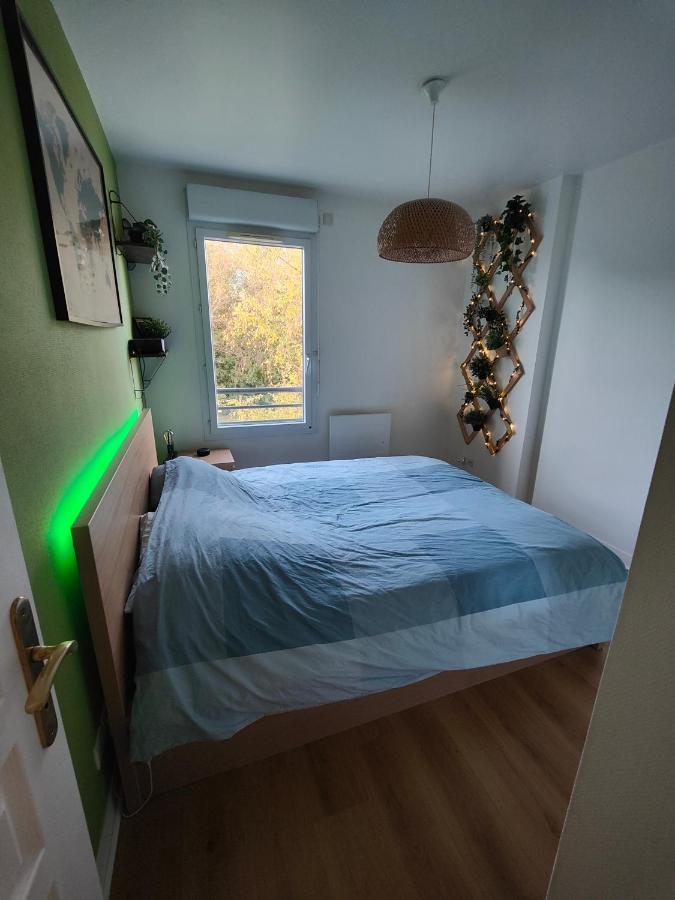 Appartement Centre Avec Balcon Parking Prive Орлеан Экстерьер фото